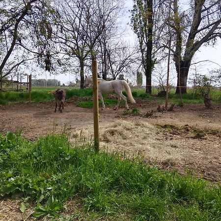 La Maison Rouge Crespellano Zewnętrze zdjęcie