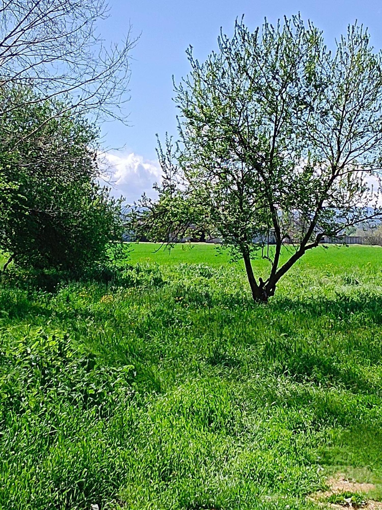 La Maison Rouge Crespellano Zewnętrze zdjęcie