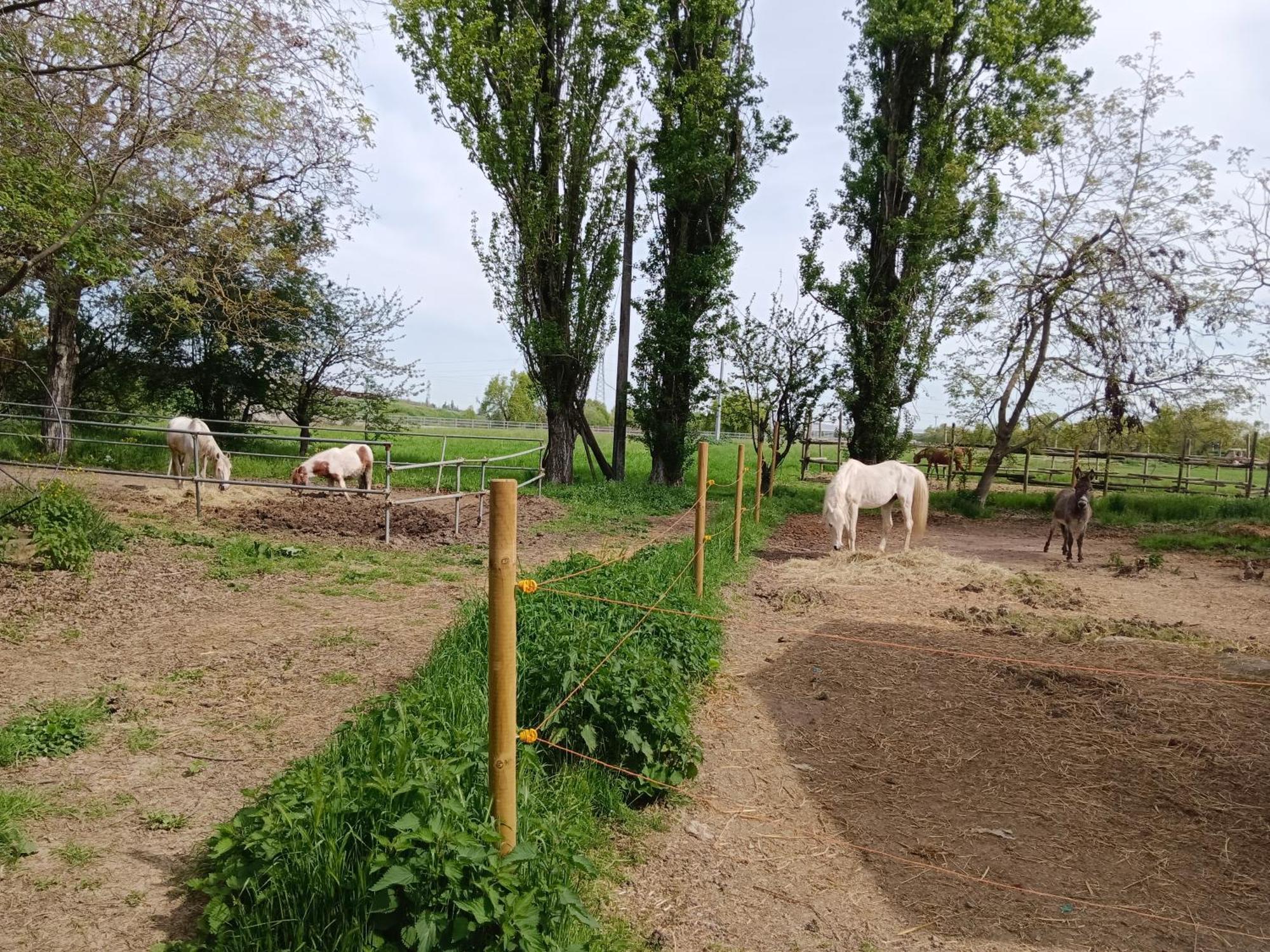 La Maison Rouge Crespellano Zewnętrze zdjęcie